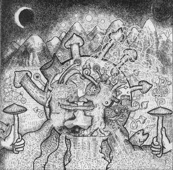 3LP Shpongle: Are You Shpongled?