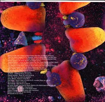 2LP Shpongle: Museum Of Consciousness