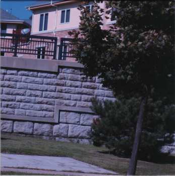 SP Shuta Hasunuma Philharmonic Orchestra: Holiday