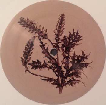 LP Sia: Colour The Small One LTD | CLR