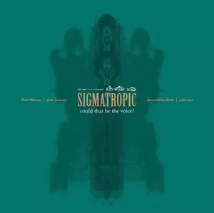Sigmatropic: Could That Be The Voice?