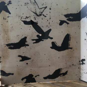 2LP/EP Sigur Rós: Takk... DLX