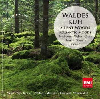 Album Various: Silent Woods: Romantic Woods