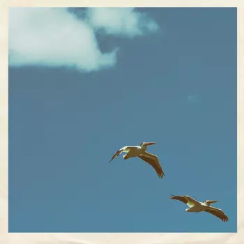 Sim Nagai: Palm Dreams