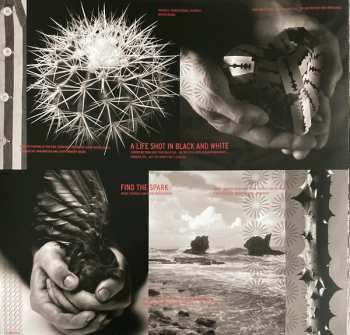 LP Simple Minds: Black and White (050505) CLR