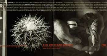 CD Simple Minds: Black & White 050505