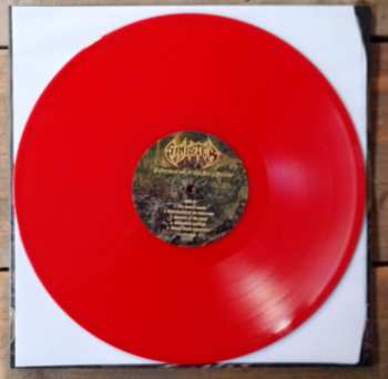 LP Sinister: Deformation Of The Holy Realm