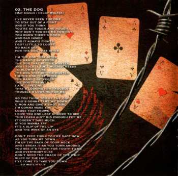 CD Sinner: Crash & Burn LTD | DIGI