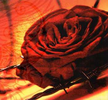 CD Sinner: Crash & Burn LTD | DIGI