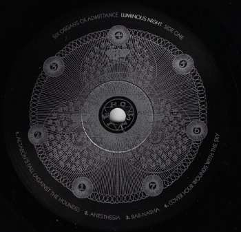 LP Six Organs Of Admittance: Luminous Night