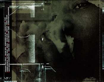 CD Sizzla: Taking Over