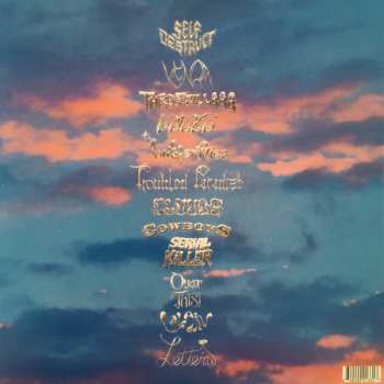 LP Slayyyter: Troubled Paradise CLR