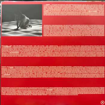 LP Slayyyter: Wor$t Girl in America