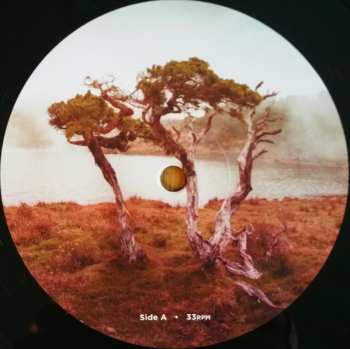 LP Slowly Rolling Camera: Juniper