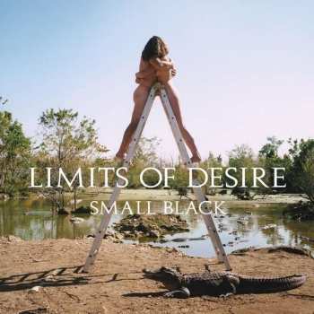 CD Small Black: Limits Of Desire