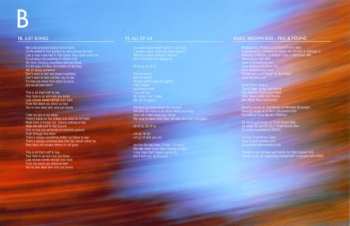 LP Small Brown Bike: Fell & Found CLR