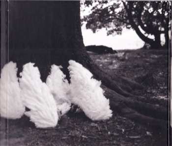 CD Smith & Burrows: Funny Looking Angels