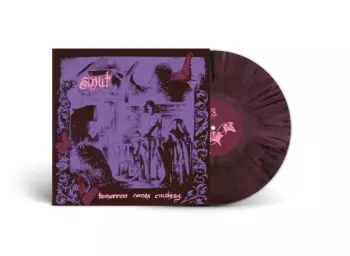 Tomorrow Comes Crashing