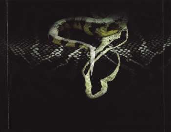 CD Snakecharmer: Second Skin