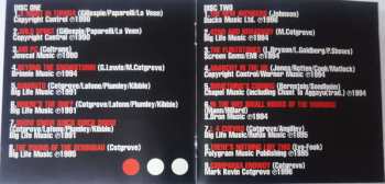 2CD Snowboy: Beyond The Snowstorm (Best Of The Acid Jazz Years)