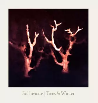 Trees In Winter