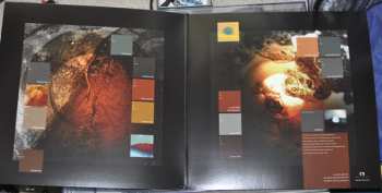 2LP Solar Fields: Ourdom