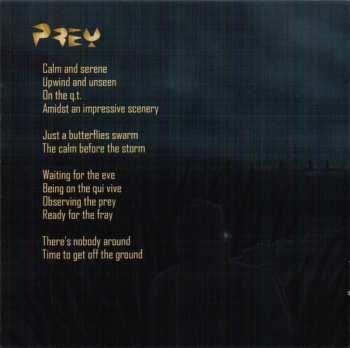 CD Solar Project: Ghost Lights