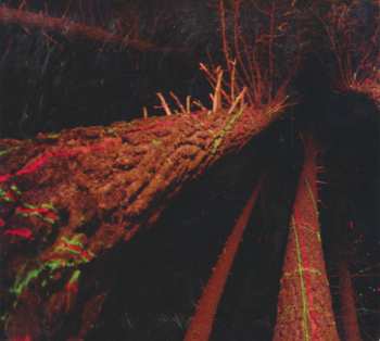 CD Solos: Beast Of Both Worlds