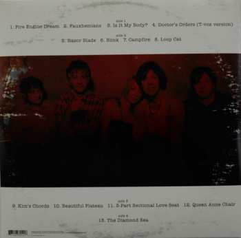 2LP Sonic Youth: The Destroyed Room B-Sides And Rarities