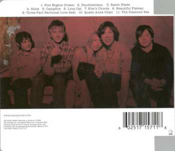 CD Sonic Youth: The Destroyed Room (B-Sides And Rarities)