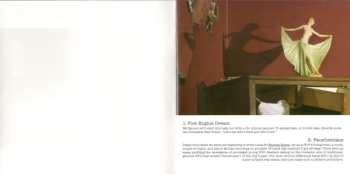 CD Sonic Youth: The Destroyed Room (B-Sides And Rarities)