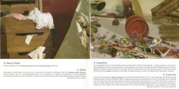 CD Sonic Youth: The Destroyed Room (B-Sides And Rarities)