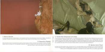 CD Sonic Youth: The Destroyed Room (B-Sides And Rarities)