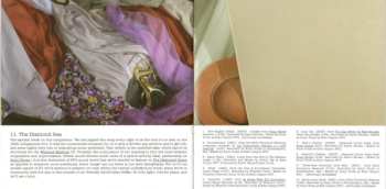 CD Sonic Youth: The Destroyed Room (B-Sides And Rarities)