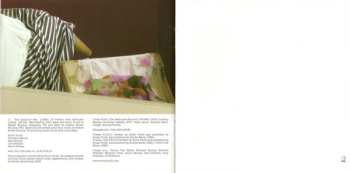 CD Sonic Youth: The Destroyed Room (B-Sides And Rarities)