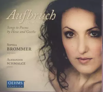 Aufbruch = Awakening (Songs To Poems By Hesse And Goethe)