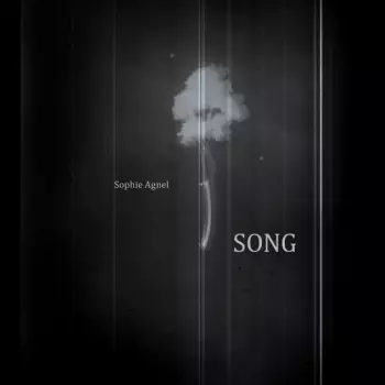 Sophie Agnel: Song