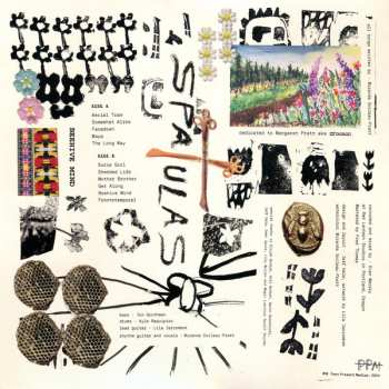 LP The Spatulas: Beehive Mind LTD