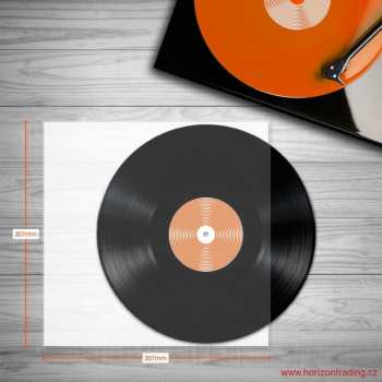 Technique audio Spincare Audiophile 12 Inch Inner Vinyl Record Sleeves - 100 Ks