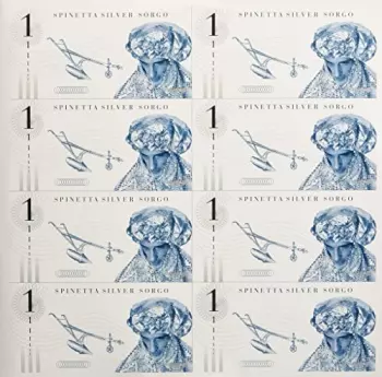 Luis Alberto Spinetta: Silver Sorgo