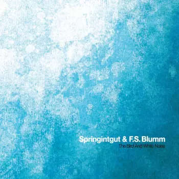 F.S. Blumm: The Bird And White Noise