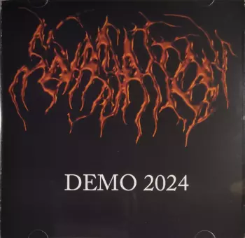 Demo 2024