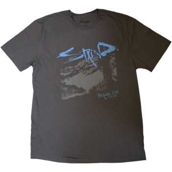 Marchandises Staind: Staind Unisex T-shirt: Break The Cycle (small) S
