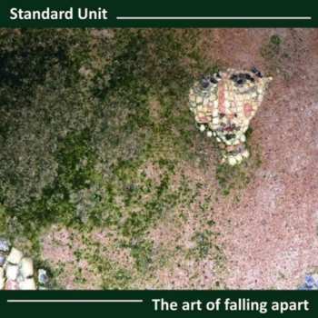 Album Standard Unit: Art Of Falling Apart
