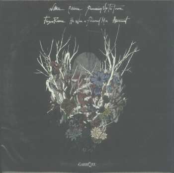 LP Stander: Vulnerable