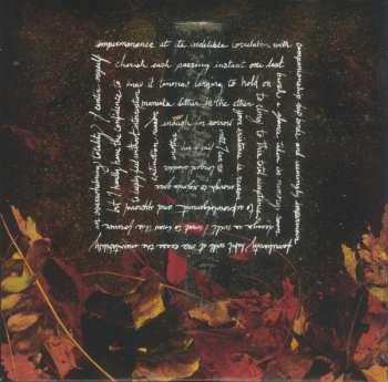 LP Stander: Vulnerable