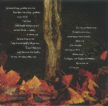 LP Stander: Vulnerable