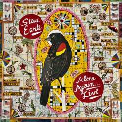 LP Steve Earle: Alone Again Ltd.