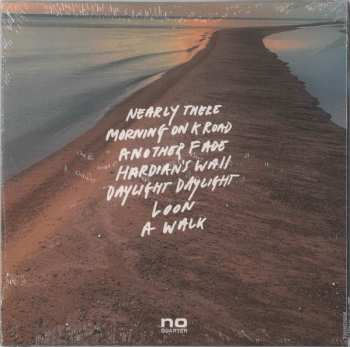 CD Steve Gunn: Daylight Daylight