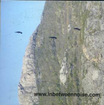 7CD/Coffret Steve Roden: A Thousand Breathing Forms (2003-2008)